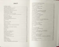 Зміст книги Теорія неймовірності Макса Кідрука