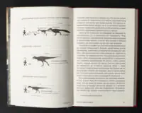 Вижити / Кессіді Коді - Зображення 11