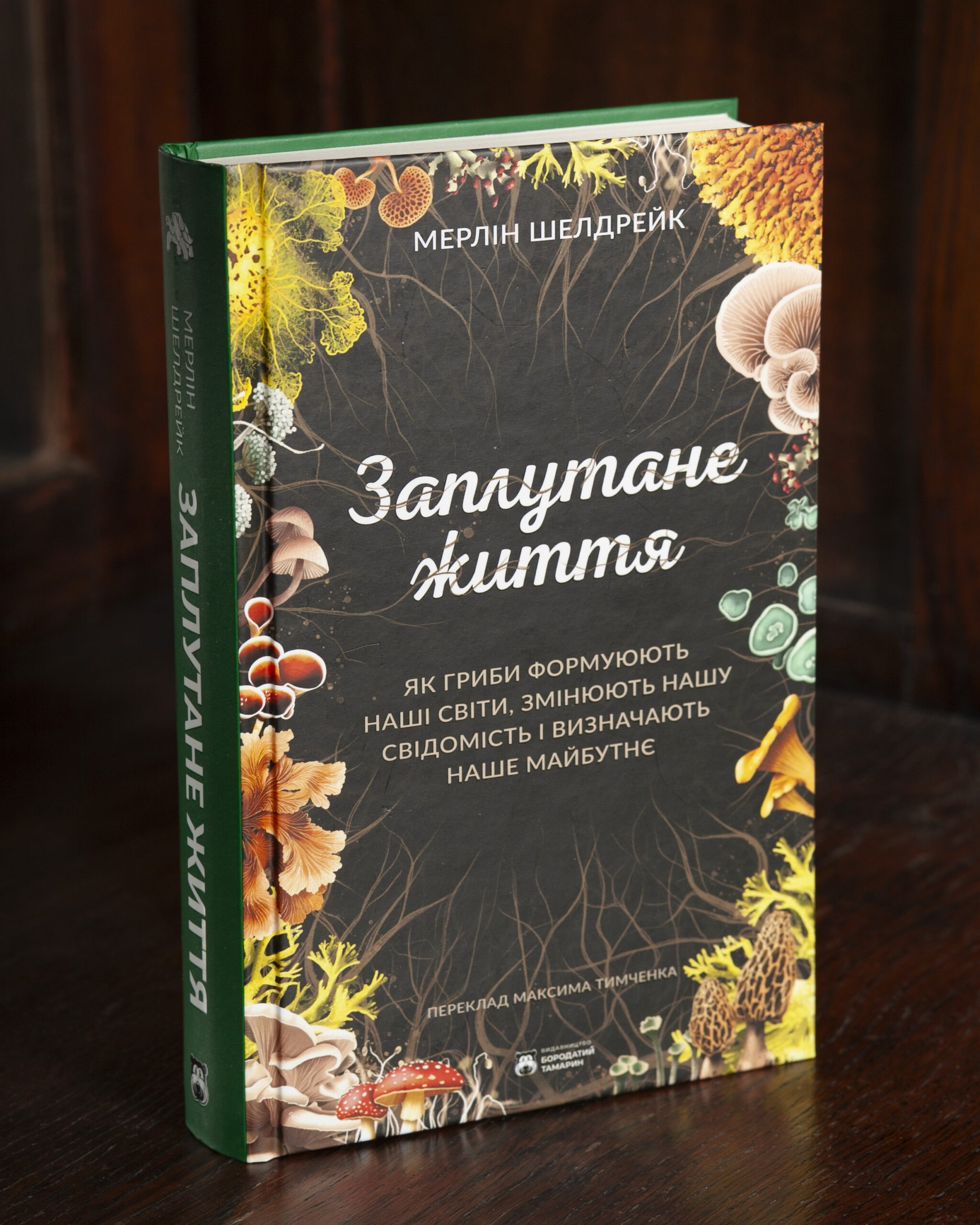 Заплутане життя Мерліна Шелдрейка — обкладинка Заплутане життя Мерліна Шелдрейка — обкладинка книги