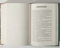 Заплутане життя — біолюмінесцентні гриби та лишайники
