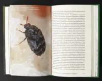 Зміст книги Жали, дзижчи, кусай Анне Свердруп-Тіґесон