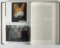 Моляр із Денисової печери — ілюстрація з книги Неандерталець