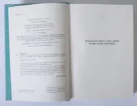 Якщо трохи пощастить — Марісса Маєр - Зображення 7