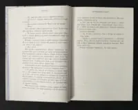 Родина Роялів. Зруйнований палац — Ерін Ватт - Зображення 9