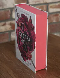 Сага сестер-відьом. Сестра ночі — Мара Вульф - Зображення 2