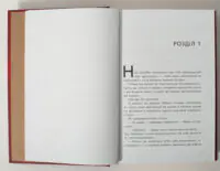 Фінальний гамбіт — Дженніфер Лінн Барнс - Зображення 7