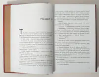Фінальний гамбіт — Дженніфер Лінн Барнс - Зображення 10