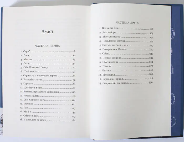 Зміст книги Зворотний бік світла Дара Корній