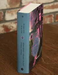 Дядечко-довгоніг. Любий враже. Річкова троянда — Джин Вебстер, Кейт Дуґлас Віґґін - Зображення 2