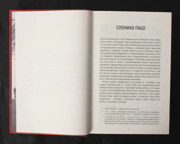 За Батьківщину — готові! Том 1, 2 / Анте Павелич / (Видання 2023 року) - Зображення 14