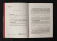 Гонитва на виживання / Леонід Ісаченко / (Видання 2023 року) - Зображення 5