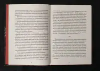 Гонитва на виживання / Леонід Ісаченко / (Видання 2023 року) - Зображення 8