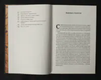 Гримуар аристократії / Говард Філіпс Лавкрафт / (Видання 2024 року) - Зображення 7