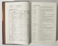 Рада Дев’ятнадцятьох та українська діаспора у книзі Колонія