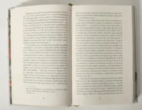 Сад супроти часу. У пошуках спільного раю — Олівія Ленґ - Зображення 11