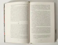 Сад супроти часу. У пошуках спільного раю — Олівія Ленґ - Зображення 13