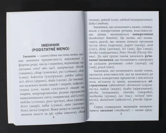 Розділ Іменник у книзі Граматика словацької мови