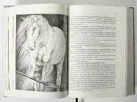 Зрада або як стати володарем – ілюстрація з конем у книзі Раїси Іванченко розворот сторінок