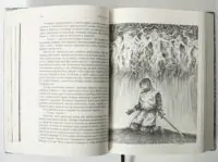 Зрада або як стати володарем – ілюстрація з воїном у книзі Раїси Іванченко розворот сторінок