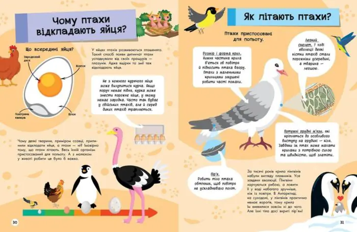 Велика енциклопедія для чомусика - Зображення 6