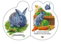 На подвір'ї /Ірина Сонечко/ - Зображення 4