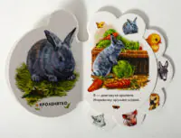 Розворот книжки На подвір'ї Ірини Сонечко про кошенятко