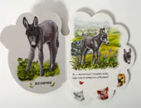 Розворот книжки На подвір'ї Ірини Сонечко про курчатко