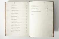 Продовження змісту книги Лінь Ріни Еліза Геммільтон. Кримінальна справа з валізою
