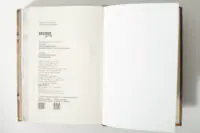 Вихідні дані книги Лінь Ріни Еліза Геммільтон. Кримінальна справа з валізою