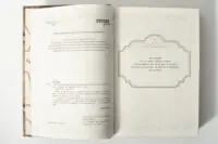 Вихідні дані та присвята у книзі Лінь Ріни Еліза Геммільтон. Кримінальна справа з валізою