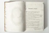 Сторінка Передмова авторки у книзі Лінь Ріни Еліза Геммільтон. Кримінальна справа з валізою