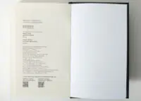 Вихідні дані книги Це було двічі Франк Тільє