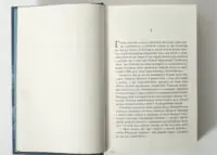 Уривок з книги Це було двічі Франк Тільє українською