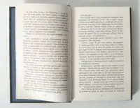 Хрущі над вишнями Ярослава Литвин сторінки книги з текстом