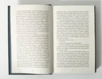Хрущі над вишнями Ярослава Литвин сторінки роману