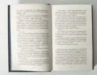 Хрущі над вишнями Ярослава Литвин сторінки книги з уривком