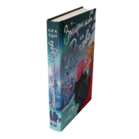 Книга Знайти тебе на Різдво — вигляд збоку та обкладинка