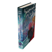 Книга Знайти тебе на Різдво — вигляд збоку та обкладинка