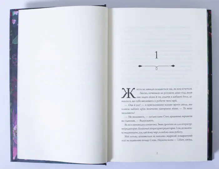 Зачарована асьєнда — Дж. С. Сервантес - Зображення 8