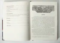 Загроза зі степу та битва під Лопушним 1512 року сторінки книги