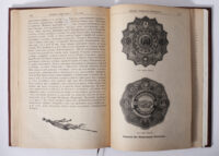 Розворот антикварної книги 1883 року з декоративними ілюстраціями та імперськими пам’ятними знаками