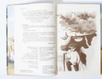 Тінке і Ларус — ілюстрований розворот книги