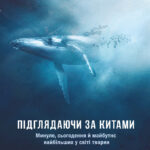 Обкладинка книги «Підглядаючи за китами. Минуле, сьогодення та майбутнє найбільших у світі тварин» — Нік Пайєнсон