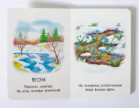Весна у книжці Пори року — криголам і перші весняні квіти