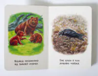 Пори року — ведмеді після сплячки та грак у полі