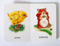 Свійські тварини — розворот із курчам і хом’ячком