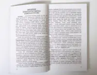 Граматика чеської мови — розділ про іменник у чеській мові