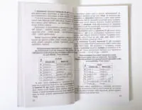 Граматика чеської мови — таблиці відмінювання іменників