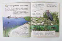 Енциклопедія дошкільника: Каспарова Ю. Природа - Зображення 8